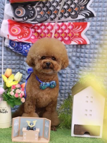 20230518ピノくん